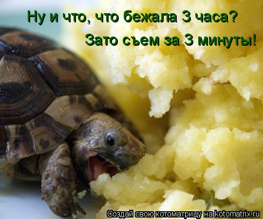 Котоматрица: Ну и что, что бежала 3 часа?  Зато съем за 3 минуты!