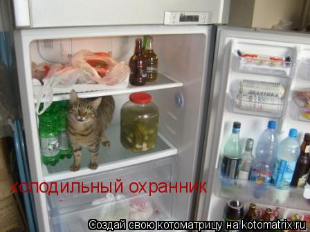 холодильный охранник... Котоматрица: холодильный охранник