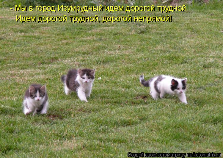 - Мы в город Изумрудный идем дорогой трудной, Идем дорогой трудной, дорогой непрямой!... Котоматрица: - Мы в город Изумрудный идем дорогой трудной, Идем дорогой трудной, дорогой непрямой!