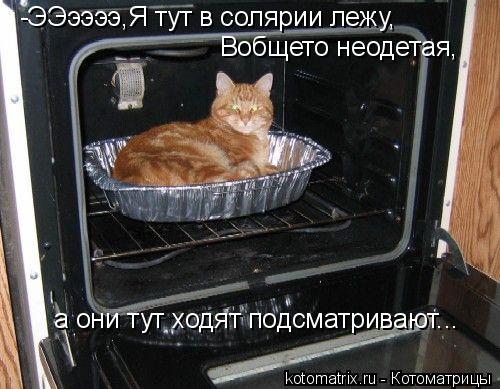 -ЭЭээээ,Я тут в солярии лежу, Вобщето неодетая, а они тут ходят подсматривают...... Котоматрица: -ЭЭээээ,Я тут в солярии лежу, Вобщето неодетая, а они тут ходят подсматривают...