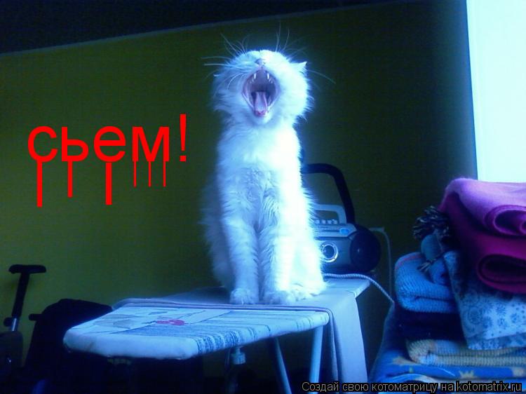сьем! I I I | | |... Котоматрица: сьем! I I I | | |