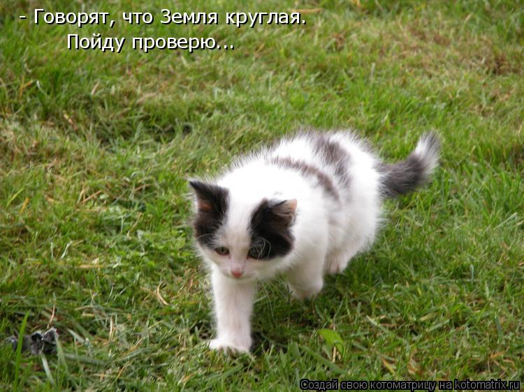 - Говорят, что Земля круглая. Пойду проверю...... Котоматрица: - Говорят, что Земля круглая. Пойду проверю...