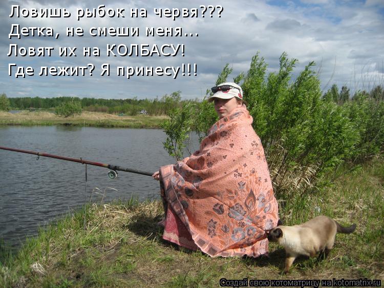 Ловишь рыбок на червя??? Детка, не смеши меня... Ловят их на КОЛБАСУ! Где лежит? Я принесу!!!... Котоматрица: Ловишь рыбок на червя??? Детка, не смеши меня... Ловят их на КОЛБАСУ! Где лежит? Я принесу!!!