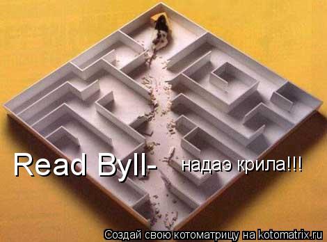 Котоматрица: Read Byll- надаэ крила!!!