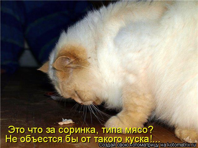 Котоматрица: Это что за соринка, типа мясо? Не объестся бы от такого куска!...