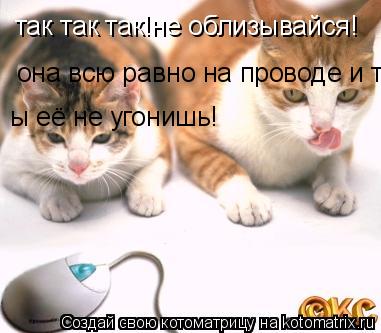 Котоматрица: так так так!не облизывайся! она всю равно на проводе и ты её не угонишь! ы её не угонишь!