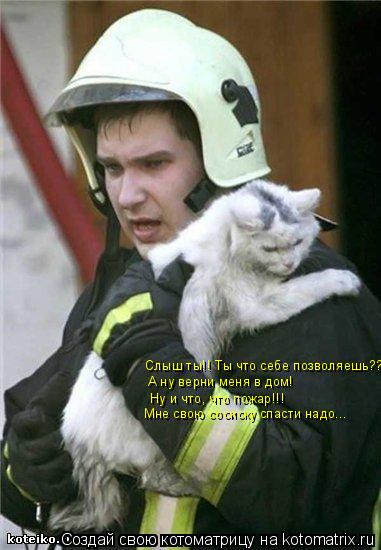 Котоматрица: Слыш ты!! Ты что себе позволяешь??? А ну верни меня в дом! Ну и что, что пожар!!! Мне свою сосиску спасти надо...