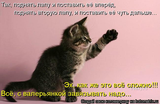 Котоматрица: Эх, как же это всё сложно!!! поднять вторую лапу, и поставить её чуть дальше... Так, поднять лапу и поставить её вперёд, Всё, с валерьянкой завяз