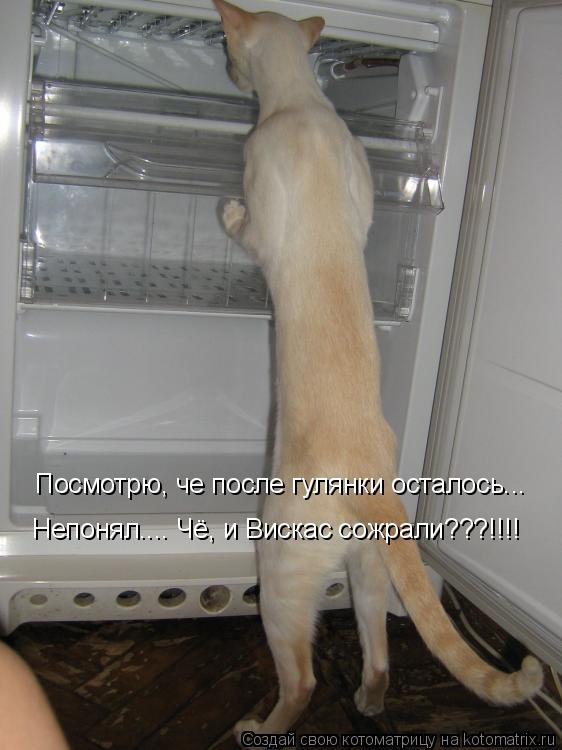 Котоматрица: Посмотрю, че после гулянки осталось... Непонял.... Чё, и Вискас сожрали???!!!!