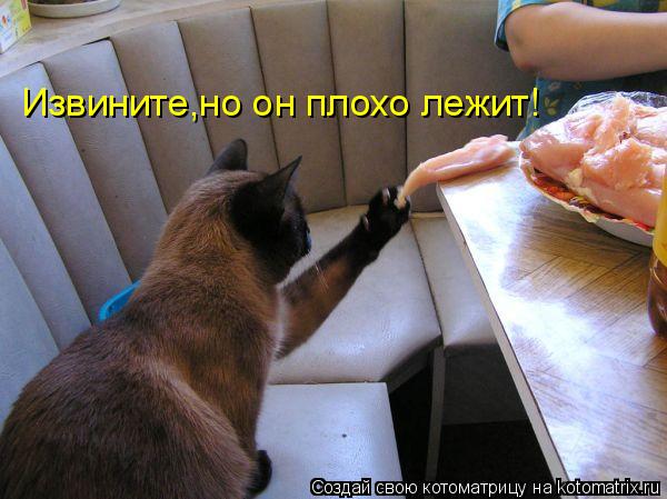 Котоматрица: Извините,но он плохо лежит!