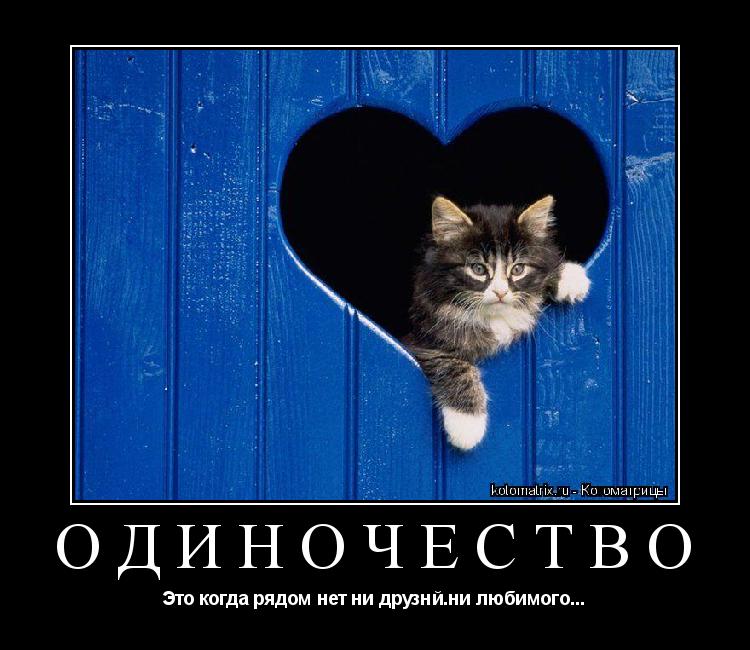Одиночество Это когда рядом нет ни друзнй.ни любимого...... Котоматрица: Одиночество Это когда рядом нет ни друзнй.ни любимого...