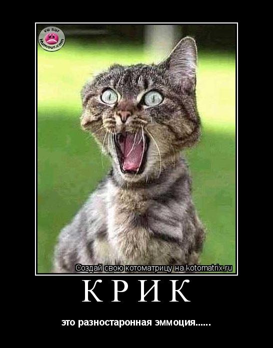 Крик это разностаронная эммоция......... Котоматрица: Крик это разностаронная эммоция......