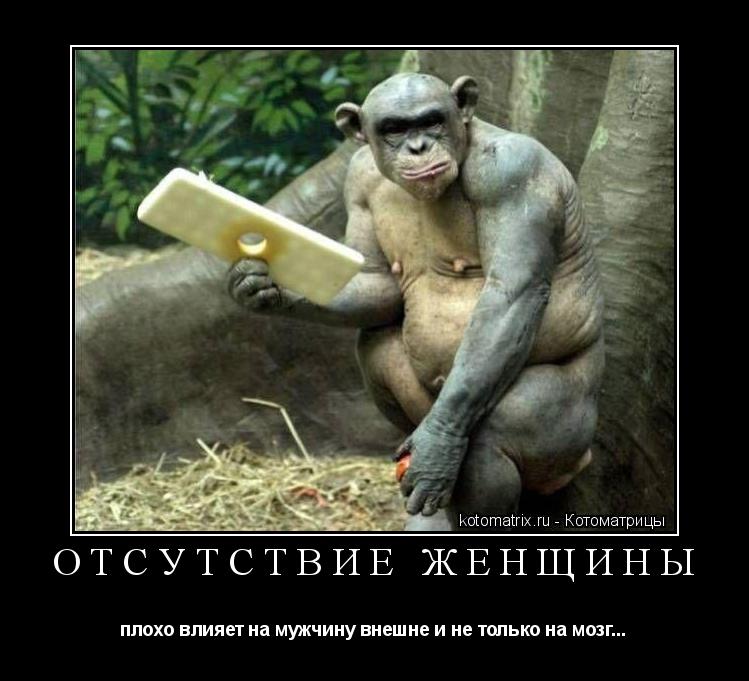 Отсутствие женщины плохо влияет на мужчину внешне и не только на мозг...... Котоматрица: Отсутствие женщины плохо влияет на мужчину внешне и не только на мозг...