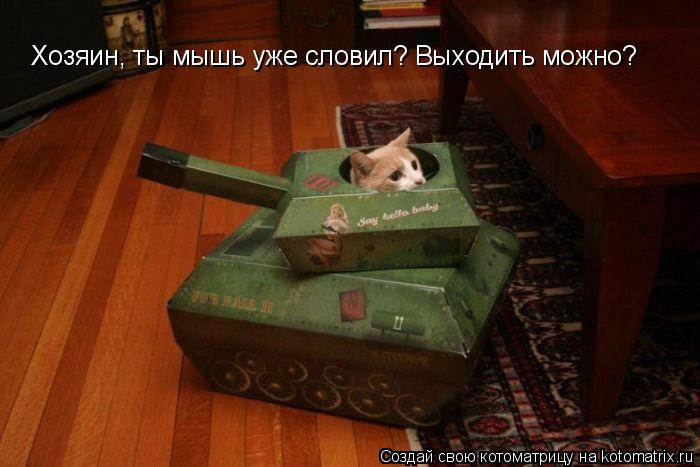Котоматрица: Хозяин, ты мышь уже словил? Выходить можно?