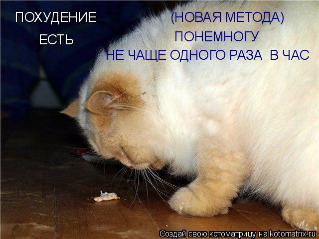Котоматрица: ПОХУДЕНИЕ (НОВАЯ МЕТОДА) ЕСТЬ ПОНЕМНОГУ НЕ ЧАЩЕ ОДНОГО РАЗА  В ЧАС