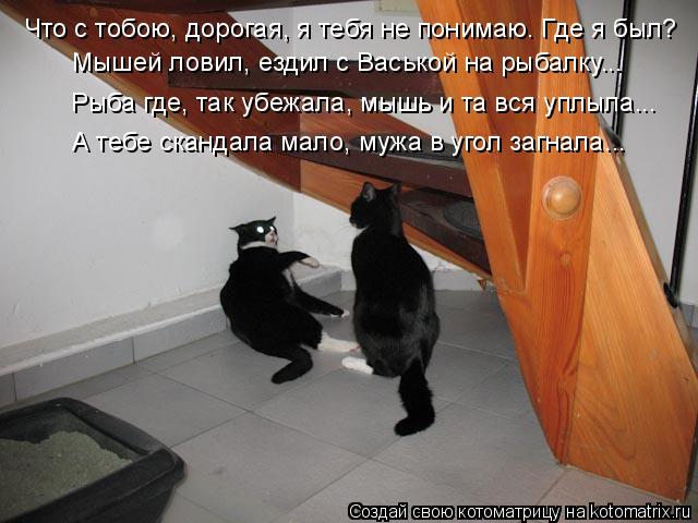 Что с тобою, дорогая, я тебя не понимаю. Где я был? Мышей ловил, ездил с Васькой на рыбалку... Рыба г... Котоматрица: Что с тобою, дорогая, я тебя не понимаю. Где я был? Мышей ловил, ездил с Васькой на рыбалку... Рыба где, так убежала, мышь и та вся уплыла... А тебе