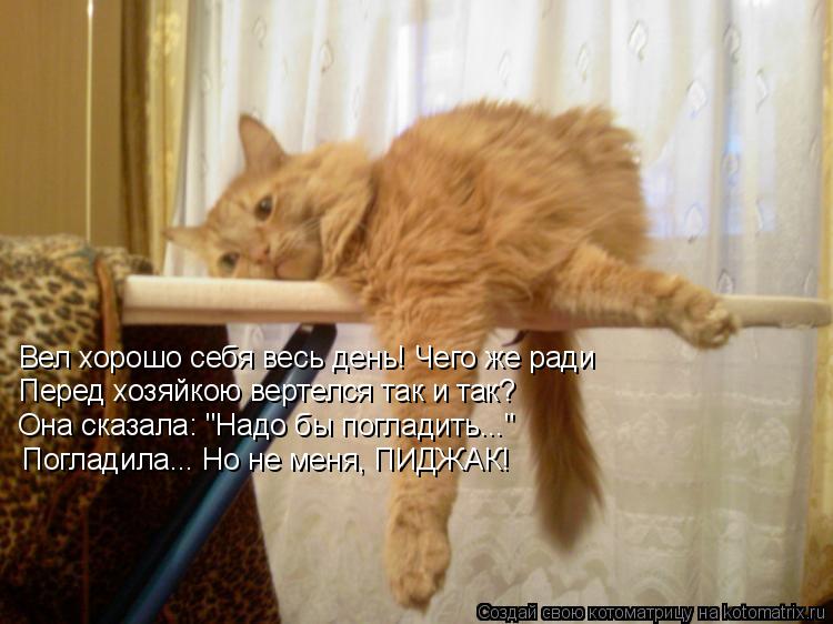 Вел хорошо себя весь день! Чего же ради Перед хозяйкою вертелся так и так? Она сказала: "Надо бы погл... Котоматрица: Вел хорошо себя весь день! Чего же ради Перед хозяйкою вертелся так и так? Она сказала: "Надо бы погладить..." Погладила... Но не меня, ПИДЖАК!