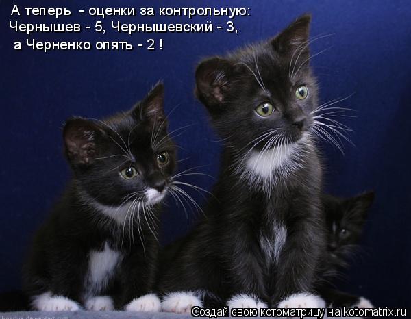 Котоматрица: А теперь  - оценки за контрольную: Чернышев - 5, Чернышевский - 3,  а Черненко опять - 2 !