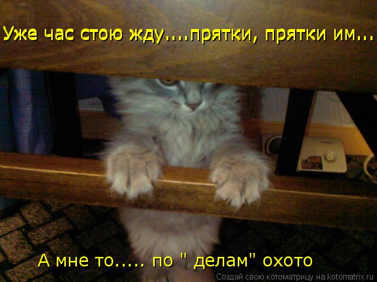 Котоматрица: Уже час стою жду....прятки, прятки им... Уже час стою жду....прятки, прятки им... А мне то..... по " делам" охото