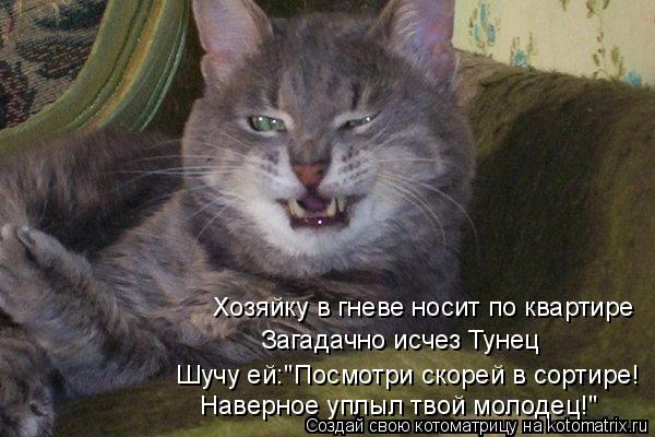 Хозяйку в гневе носит по квартире Загадачно исчез Тунец Наверное уплыл твой молодец!" Шучу ей:"Посмот... Котоматрица: Хозяйку в гневе носит по квартире Загадачно исчез Тунец Наверное уплыл твой молодец!" Шучу ей:"Посмотри скорей в сортире!