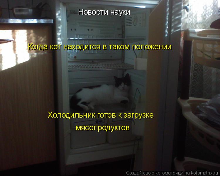 Котоматрица: Когда кот находится в таком положении мясопродуктов Новости науки Холодильник готов к загрузке