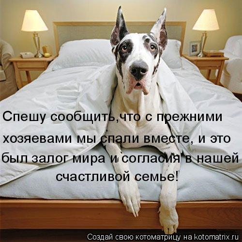 Котоматрица: Спешу сообщить,что с прежними  хозяевами мы спали вместе, и это был залог мира и согласия в нашей  счастливой семье!
