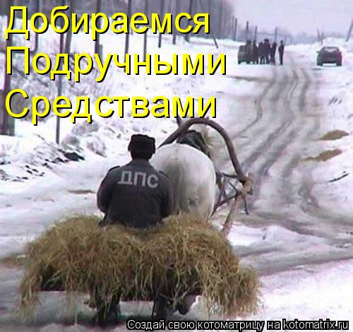Котоматрица: Добираемся Подручными Средствами