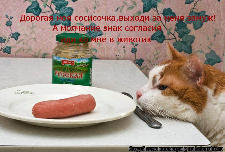 Котоматрица: Дорогая моя сосисочка,выходи за меня замуж! А молчание знак согласия  иди ко мне в животик
