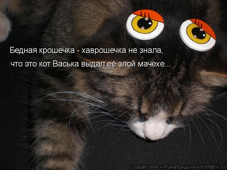 Котоматрица: Бедная крошечка - хаврошечка не знала, что это кот Васька выдал её злой мачехе...