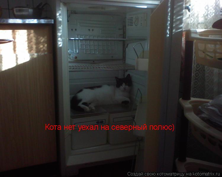 Котоматрица: Кота нет уехал на северный полюс)