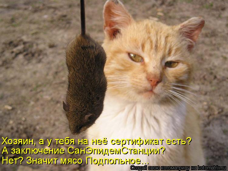 Хозяин, а у тебя на неё сертификат есть? А заключение СанЭпидемСтанции? Нет? Значит мясо Подпольное..... Котоматрица: Хозяин, а у тебя на неё сертификат есть? А заключение СанЭпидемСтанции? Нет? Значит мясо Подпольное...