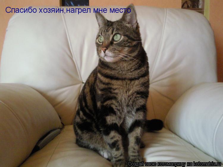 Котоматрица: Спасибо хозяин,нагрел мне место