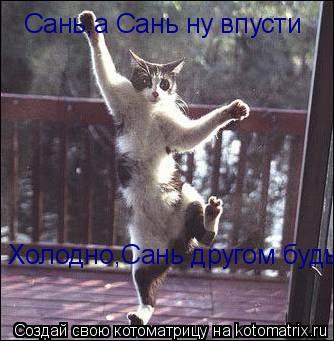 Котоматрица: Сань,а Сань ну впусти Холодно,Сань другом будь