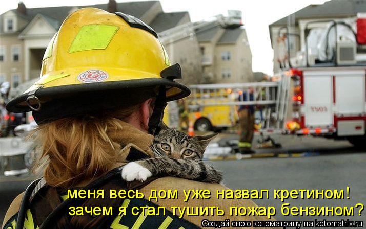 зачем я стал тушить пожар бензином? меня весь дом уже назвал кретином!... Котоматрица: зачем я стал тушить пожар бензином? меня весь дом уже назвал кретином!