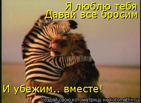 Я люблю тебя Давай все бросим И убежим.. вместе!... Котоматрица: Я люблю тебя Давай все бросим И убежим.. вместе!