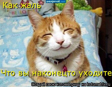 Как жаль Что вы наконецто уходите... Котоматрица: Как жаль Что вы наконецто уходите