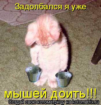 Задолбался я уже мышей доить!!!... Котоматрица: Задолбался я уже мышей доить!!!