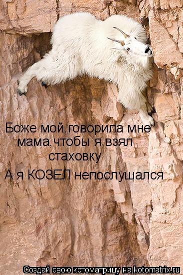 Боже мой,говорила мне мама,чтобы я взял стаховку А я КОЗЕЛ непослушался... Котоматрица: Боже мой,говорила мне мама,чтобы я взял стаховку А я КОЗЕЛ непослушался