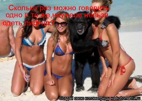Сколько раз можно говорить одно и то же,неужели нельзя одеть лифчик?... Котоматрица: Сколько раз можно говорить одно и то же,неужели нельзя одеть лифчик?