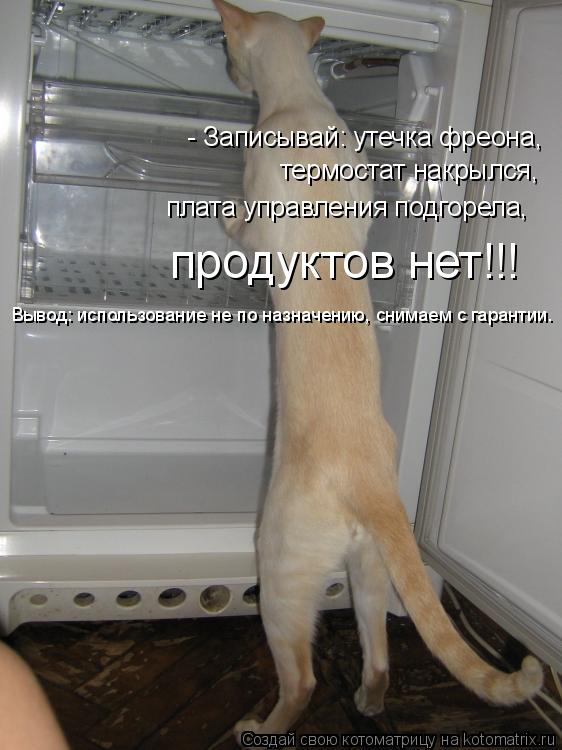 - Записывай: утечка фреона, термостат накрылся, плата управления подгорела, продуктов нет!!! Вывод: ... Котоматрица: - Записывай: утечка фреона, термостат накрылся, плата управления подгорела, продуктов нет!!! Вывод: использование не по назначению, снимаем
