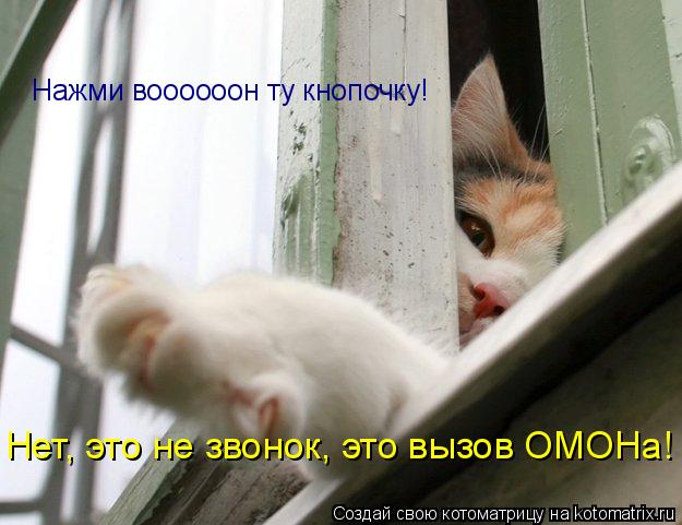 Нажми воооооон ту кнопочку! Нет, это не звонок, это вызов ОМОНа!... Котоматрица: Нажми воооооон ту кнопочку! Нет, это не звонок, это вызов ОМОНа!