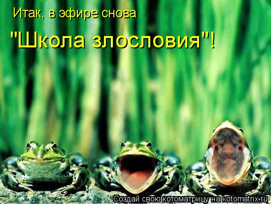 Котоматрица: Итак, в эфире снова "Школа злословия"!