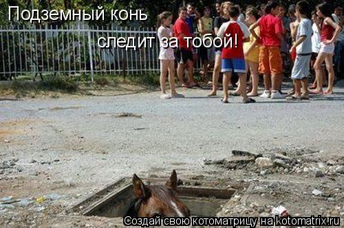 Котоматрица: Подземный конь следит за тобой!