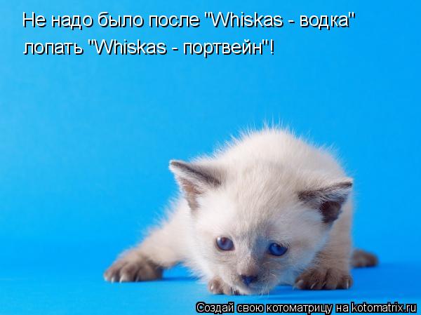 Котоматрица: Не надо было после "Whiskas - водка" лопать "Whiskas - портвейн"!