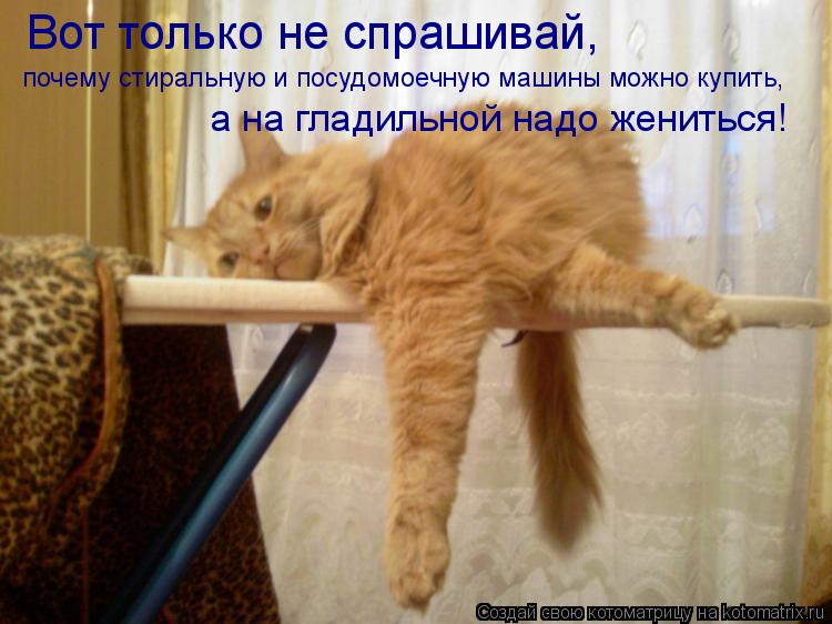 Котоматрица: Вот только не спрашивай, почему стиральную и посудомоечную машины можно купить, а на гладильной надо жениться!