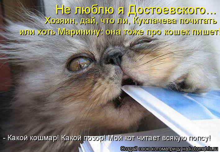 Котоматрица: Не люблю я Достоевского... Хозяин, дай, что ли, Куклачева почитать или хоть Маринину: она тоже про кошек пишет! - Какой кошмар! Какой позор! Мой 