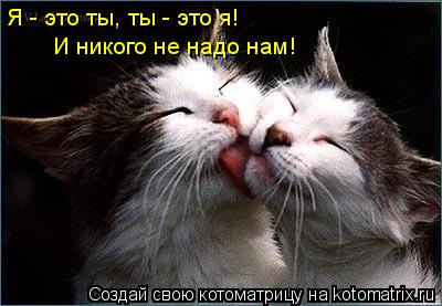 Котоматрица: Я - это ты, ты - это я!  И никого не надо нам!