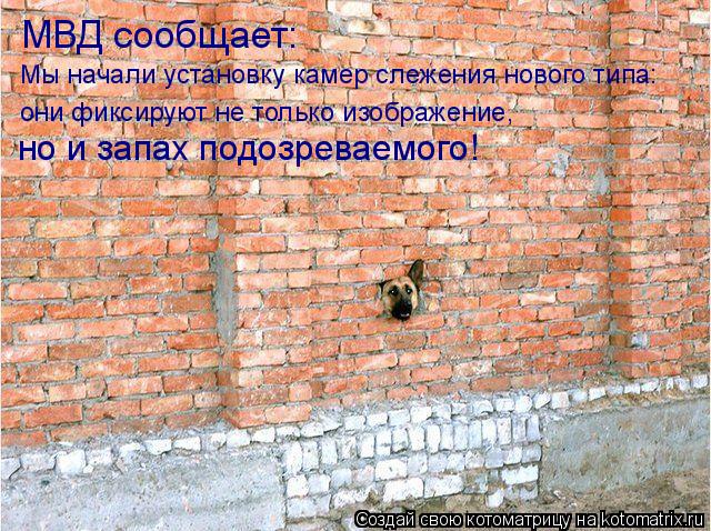 Котоматрица: МВД сообщает: Мы начали установку камер слежения нового типа: они фиксируют не только изображение,  но и запах подозреваемого!