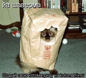 йа шаверма... Котоматрица: йа шаверма