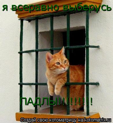 Котоматрица: я всеравно выберусь я всеравно выберусь я всеравно выберусь я всеравно выберусь ПАДЛЫ!!!!!!!!!